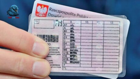 Как заменить водительские права Польше Как заменить водительские права Польше